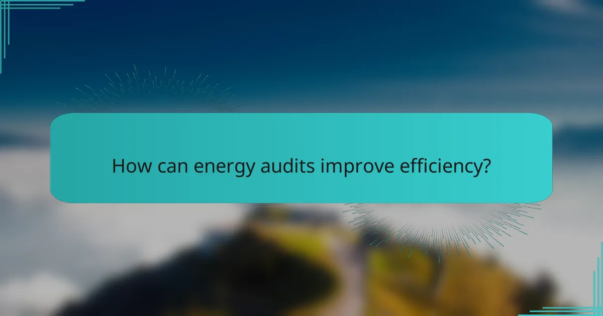 How can energy audits improve efficiency?