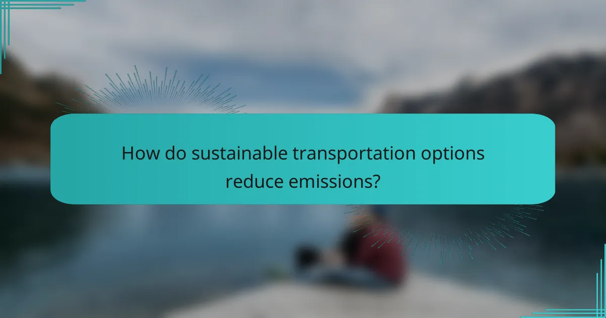 How do sustainable transportation options reduce emissions?