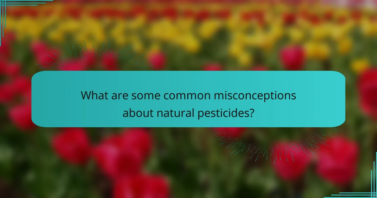What are some common misconceptions about natural pesticides?