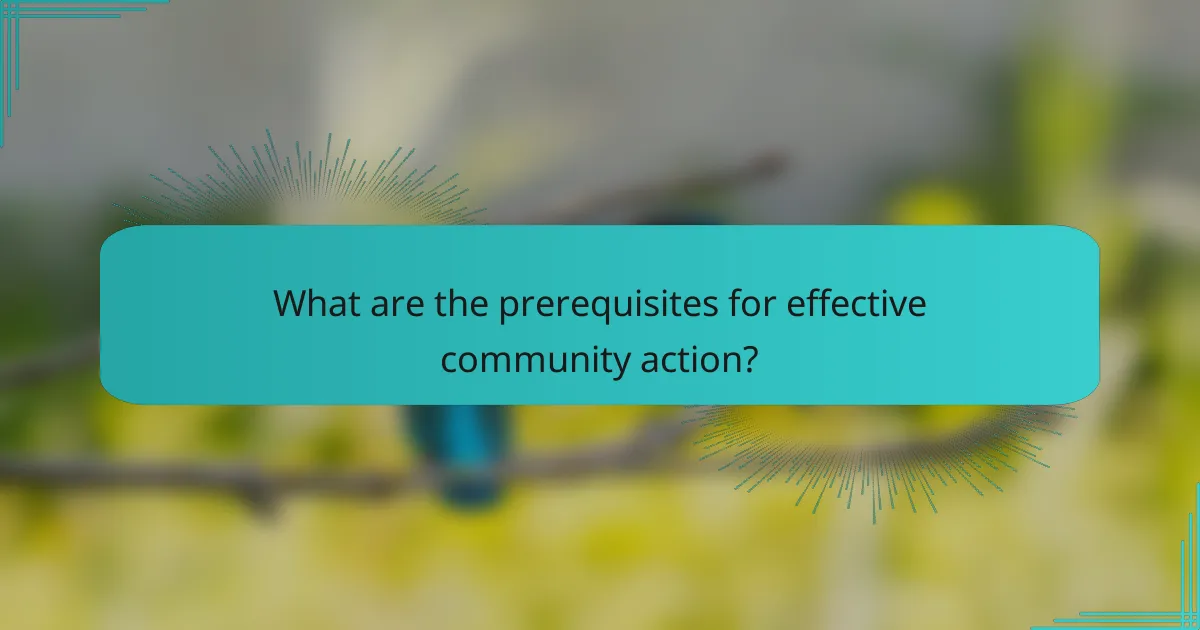 What are the prerequisites for effective community action?