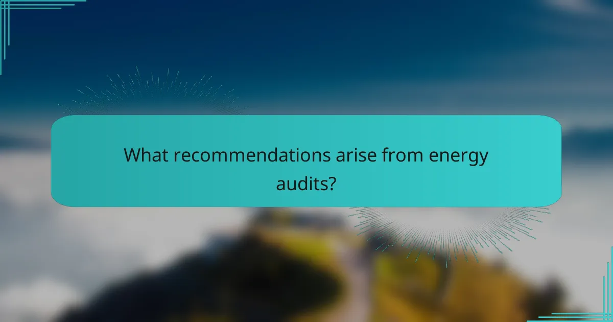 What recommendations arise from energy audits?