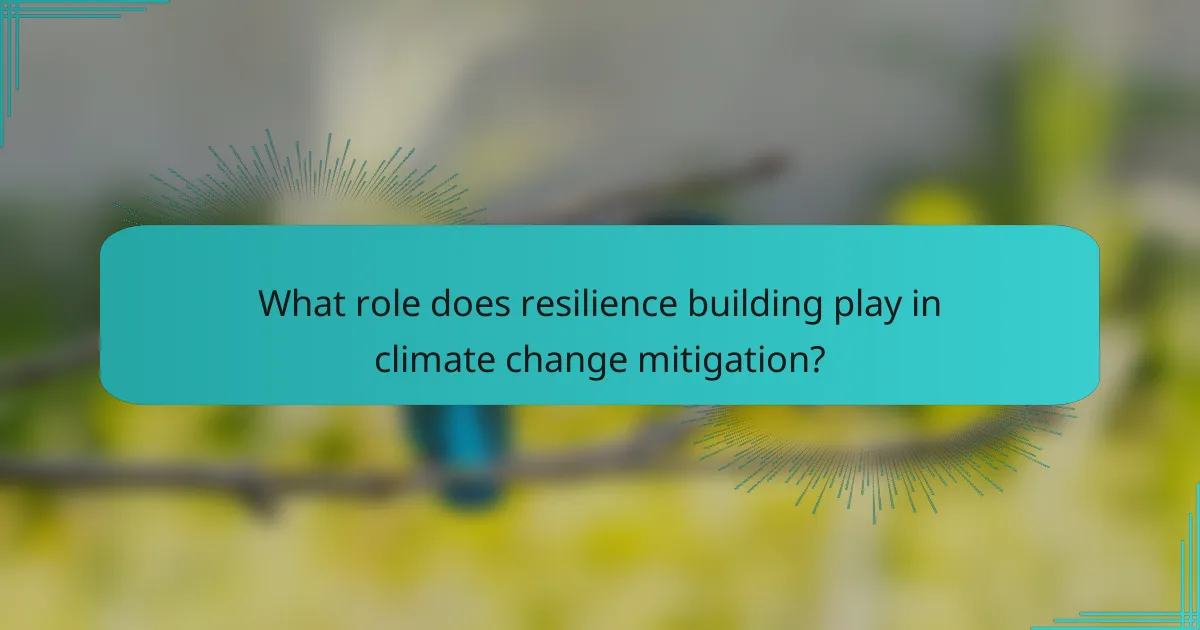 What role does resilience building play in climate change mitigation?