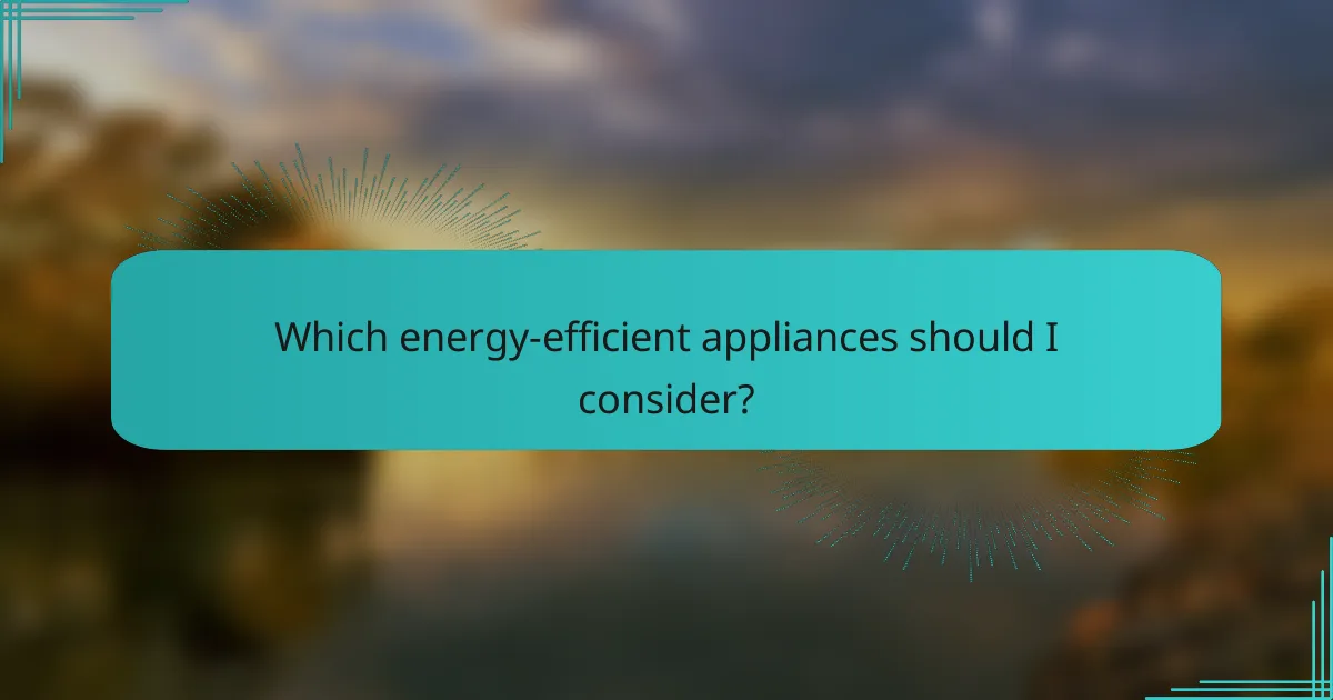 Which energy-efficient appliances should I consider?